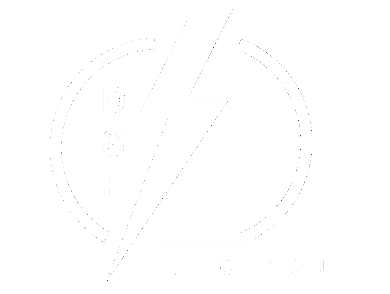 LOGO-DSE-ELECTRIQUE-blancfull